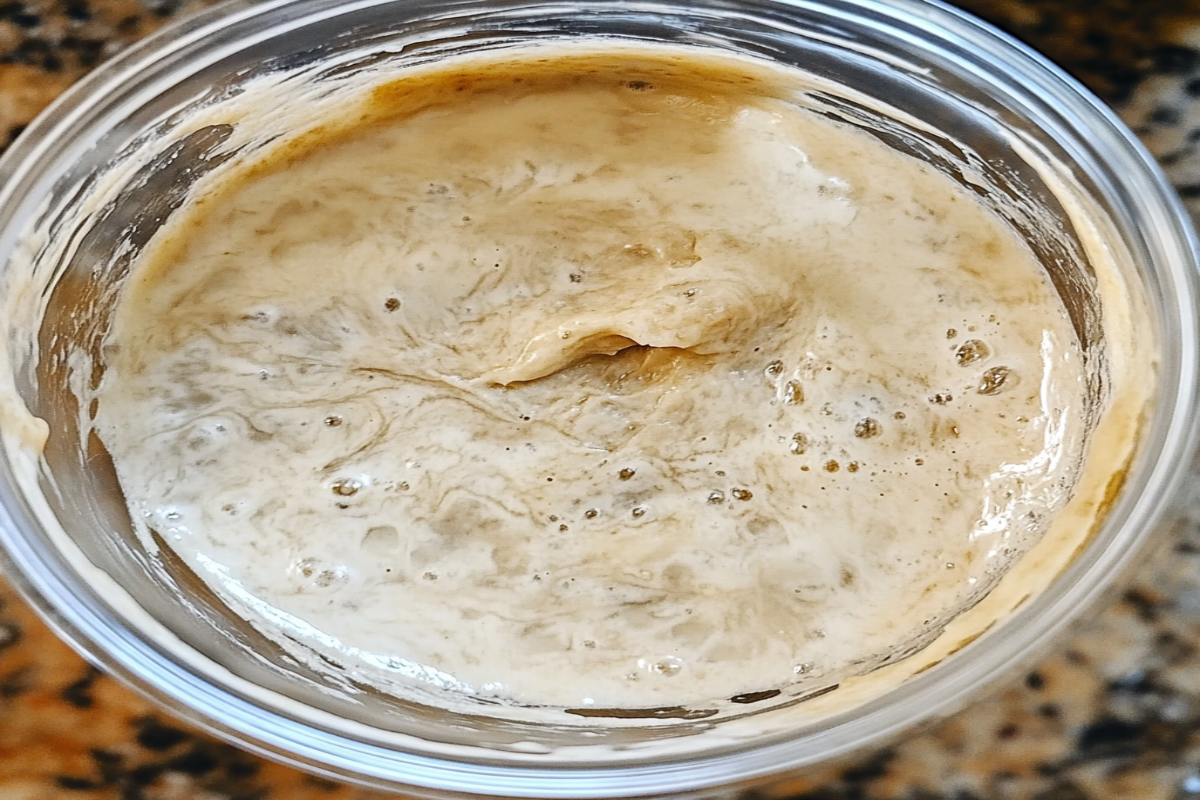 How to tell if sourdough starter is bad